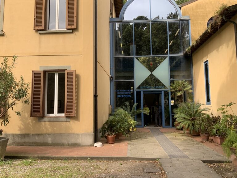 IMG_4841-dimensioni-grandi-1